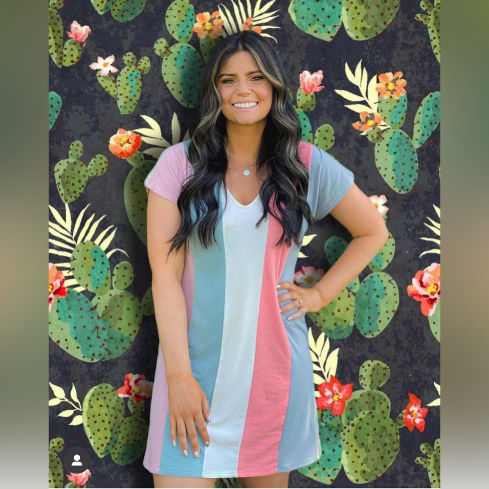 Tunic Dress Small Pink Porcupine